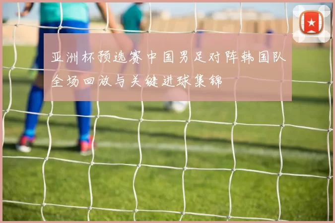 亚洲杯预选赛中国男足对阵韩国队全场回放与关键进球集锦