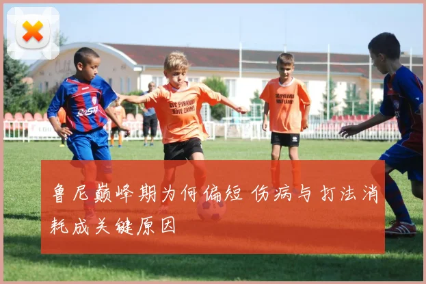 鲁尼巅峰期为何偏短 伤病与打法消耗成关键原因