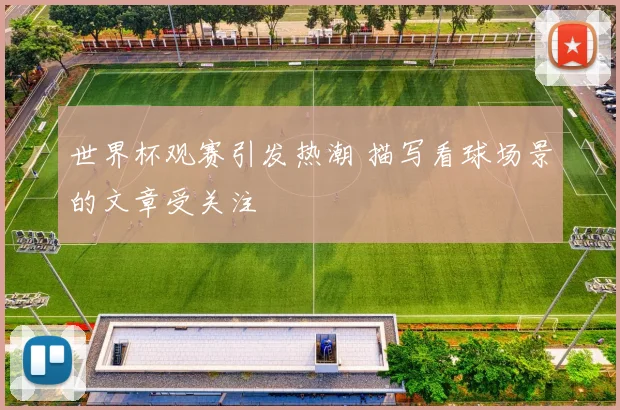 世界杯观赛引发热潮 描写看球场景的文章受关注